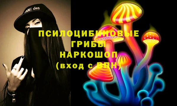 спайс Алексин