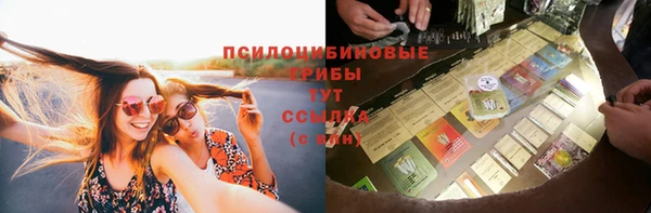 мяу мяу мука Алзамай