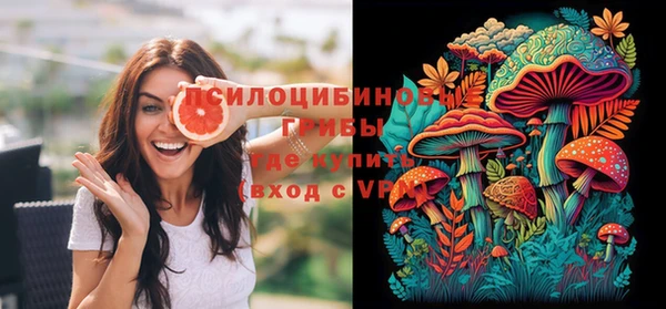 мяу мяу мука Алзамай