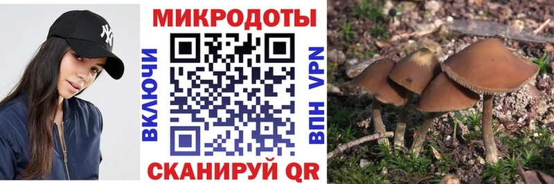 что такое наркотик  omg ссылка  Псилоцибиновые грибы MAGIC MUSHROOMS  Гуково 